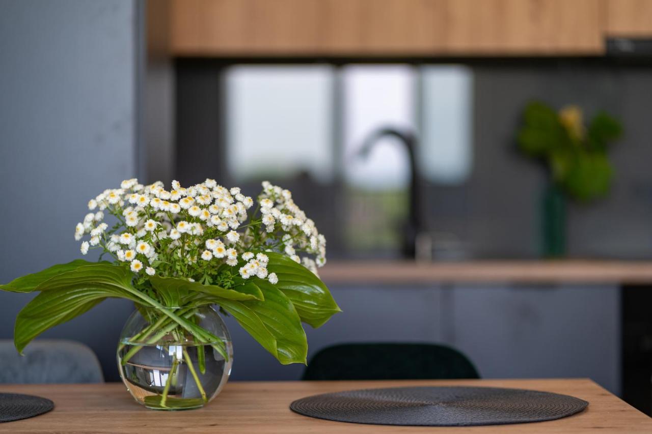 Apartament No 34 Green - Holiday Home 자토르 외부 사진